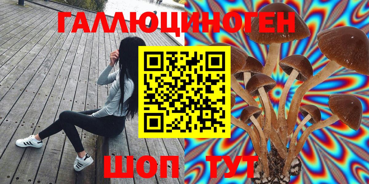 Галлюциногенные грибы прущие грибы  Псилоцибиновые грибы Magic Shrooms  Вход с VPN  Дедовск 