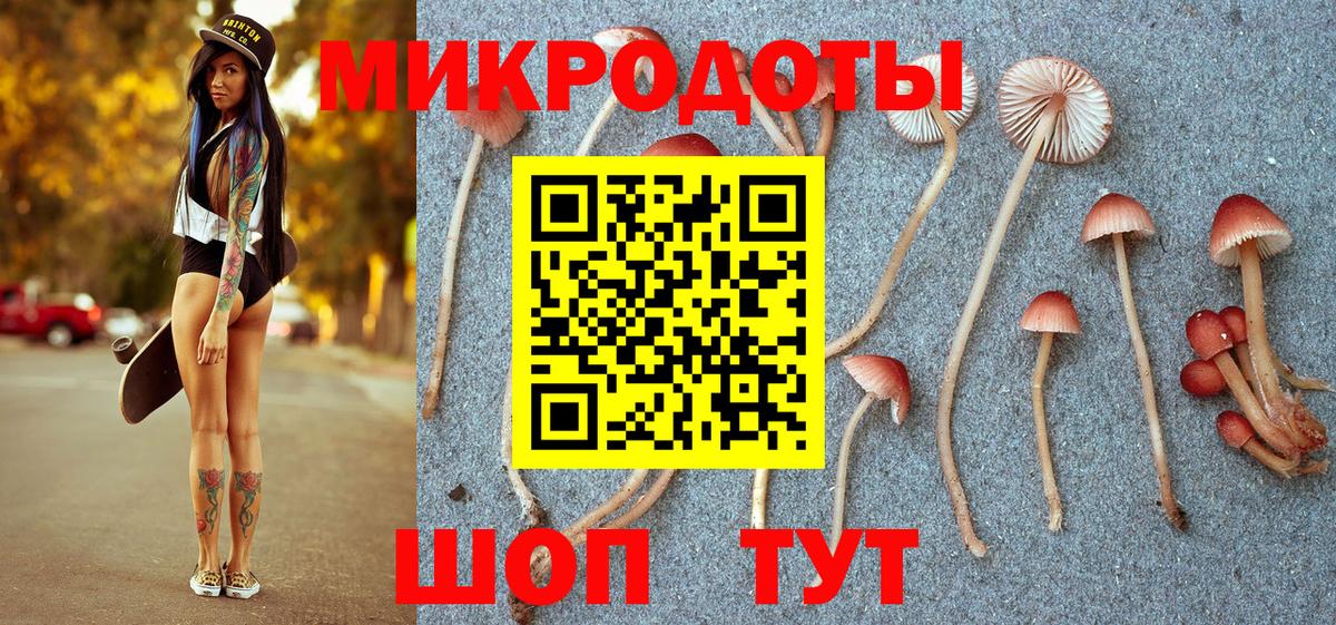 Псилоцибиновые грибы Psilocybine cubensis Дедовск